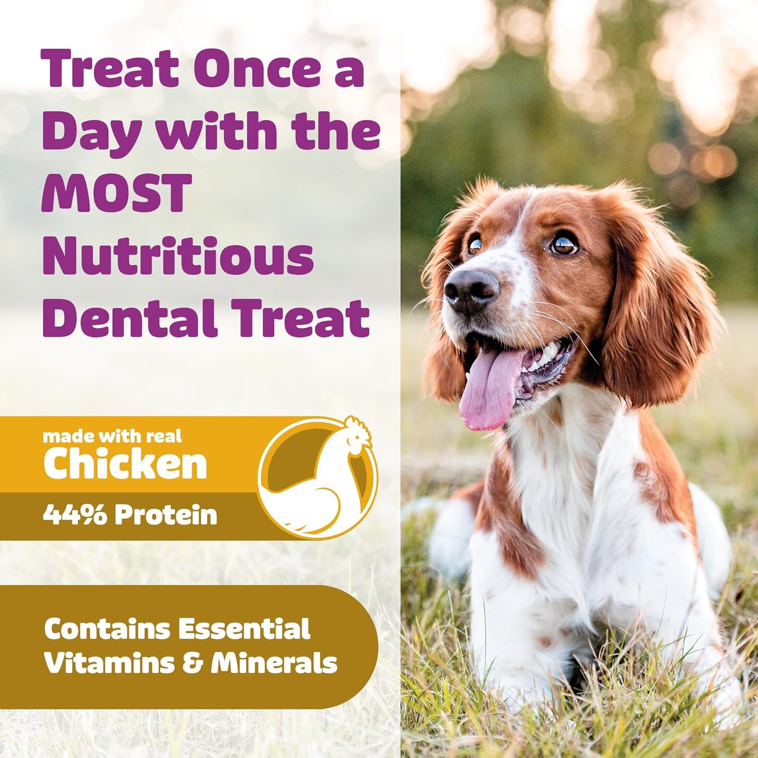 Yummy Combs - Daily Dental Treats