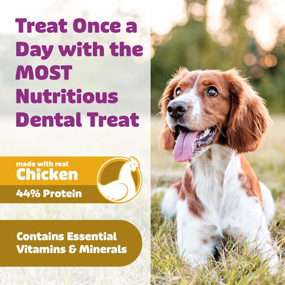 Yummy Combs - Daily Dental Treats